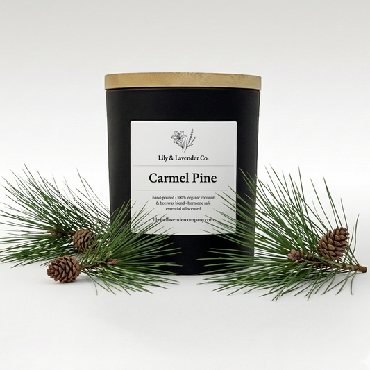 Lily & Lavender Co. Carmel Pine Essential Oil Scented, Non-Toxic Coconut & Beeswax Candle sitting with pine branches and pine cones.