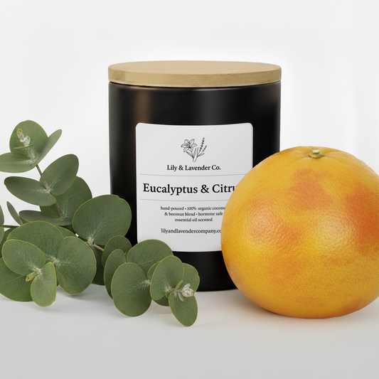 Lily & Lavender Co. Eucalyptus & Citrus Essential Oil Scented, Non-Toxic Coconut & Beeswax Candle sitting with and grapefruit and eucalyptus branch.